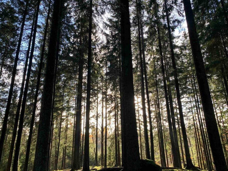 Panoramavy Naera Gbg Och Natur Olofstorp Экстерьер фото
